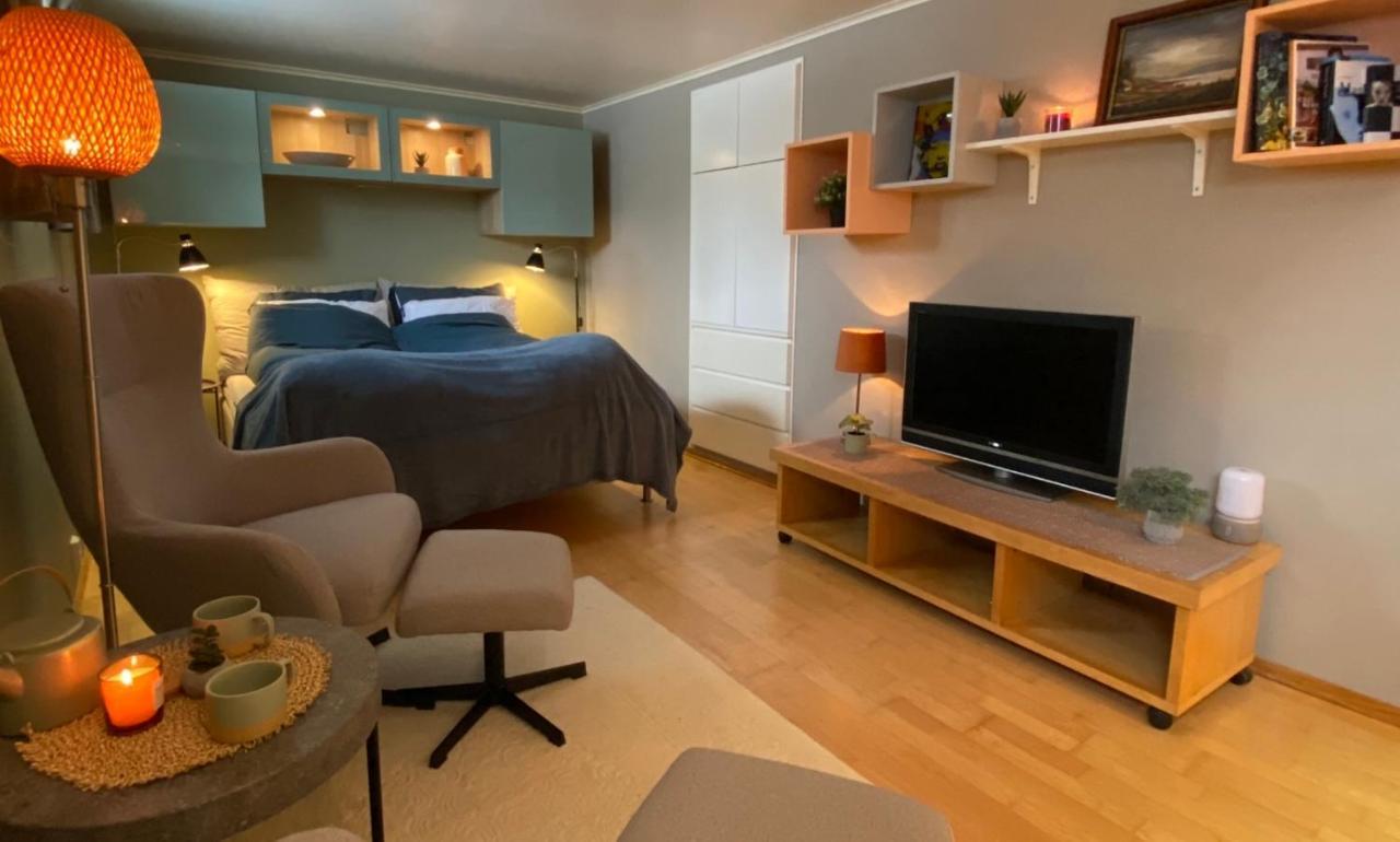 Leilighet Sentralt Til Sandefjord Og Torp Flyplass Ngoại thất bức ảnh